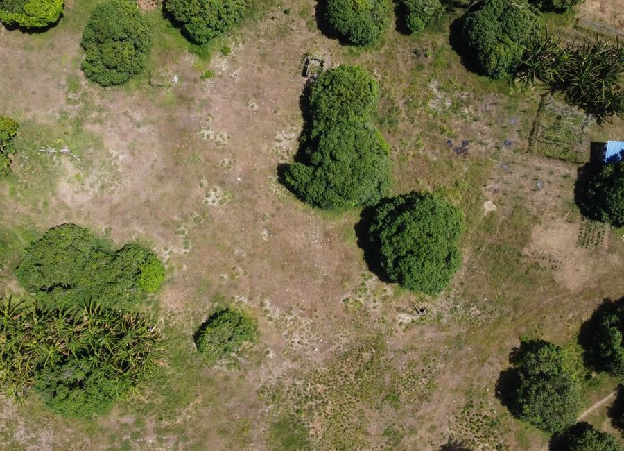 place photo 50