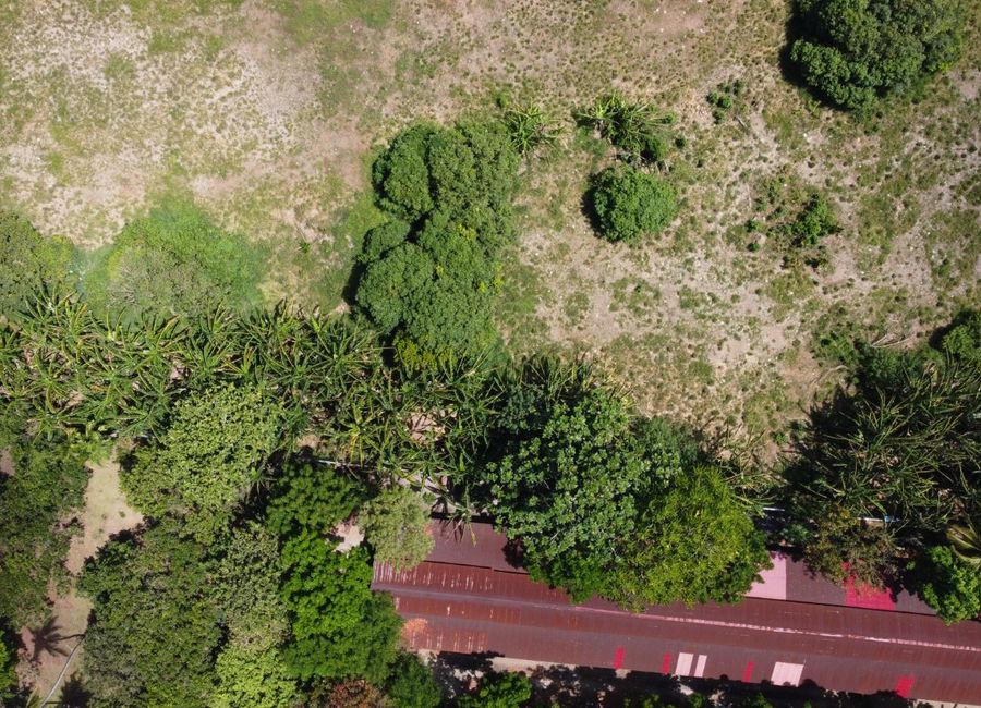 place photo 52
