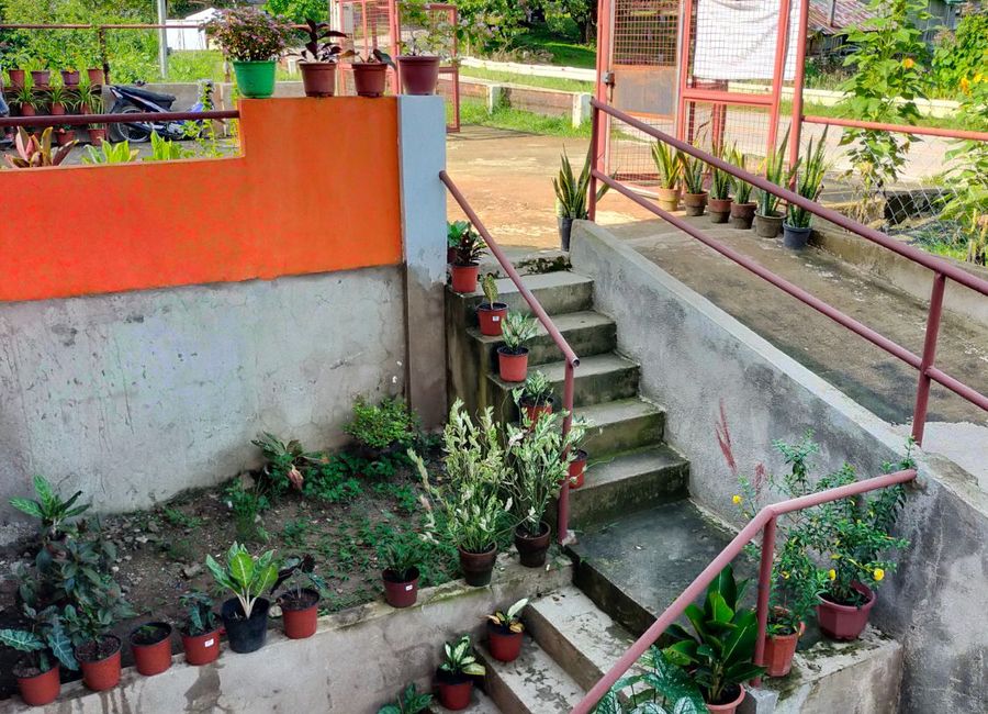 place photo 72