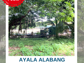 AYALA ALABANG VILLAGE MUNTINLUPA LOT FOR SALE