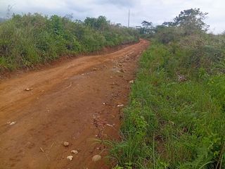5.5hectares farm lot for Sale..