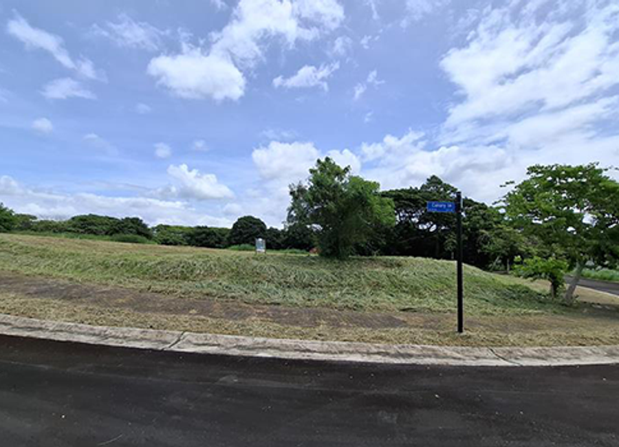 Ecology Avenue, Elaro Nuvali, Canlubang, Calamba, Laguna