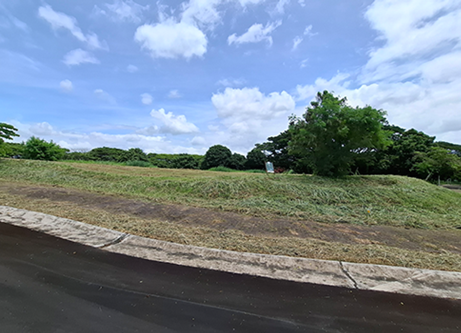 Ecology Avenue, Elaro Nuvali, Canlubang, Calamba, Laguna image 3