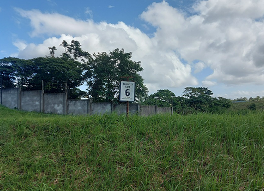 Riomonte, Canlubang, Calamba, Laguna image 2
