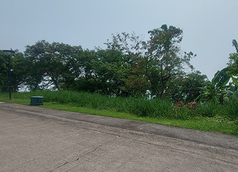 Maunong, Calamba, Laguna image 3