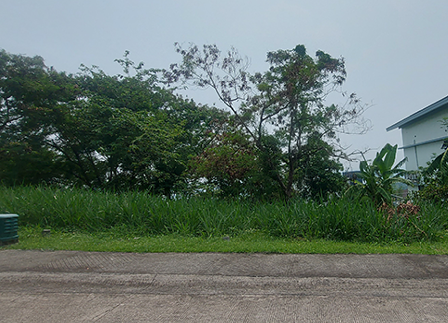 Maunong, Calamba, Laguna image 2