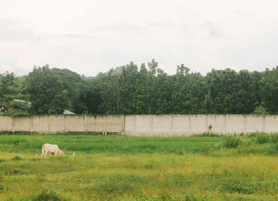 Tagbac, Antipolo, Rizal image 2
