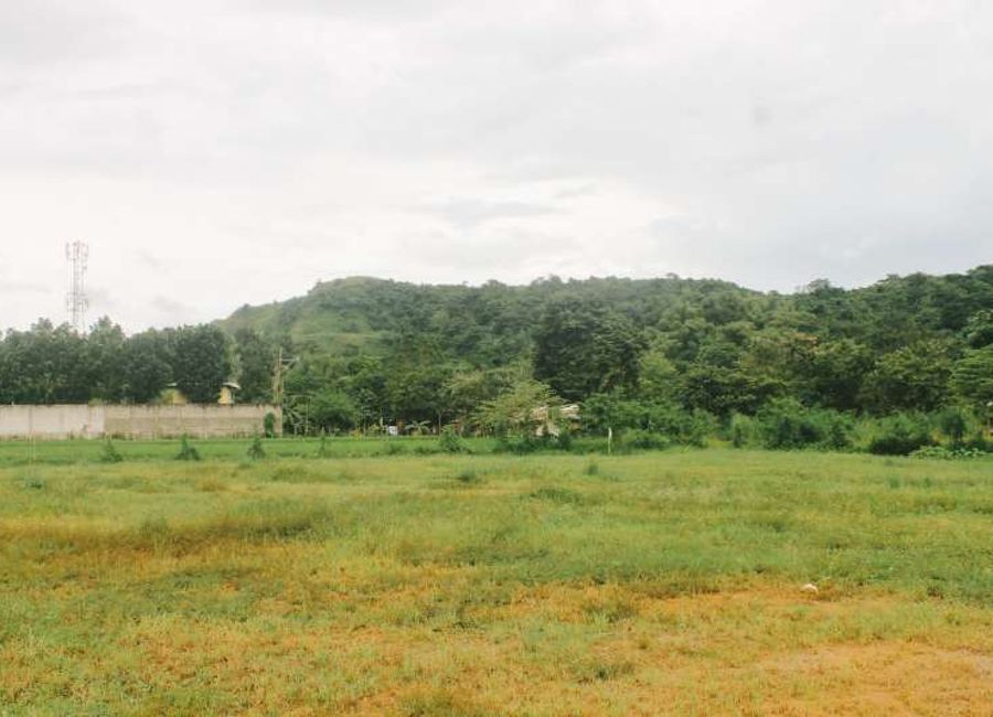 Tagbac, Antipolo, Rizal image 3