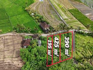 jual tanah view sawah luasan kecil di tabanan bali.