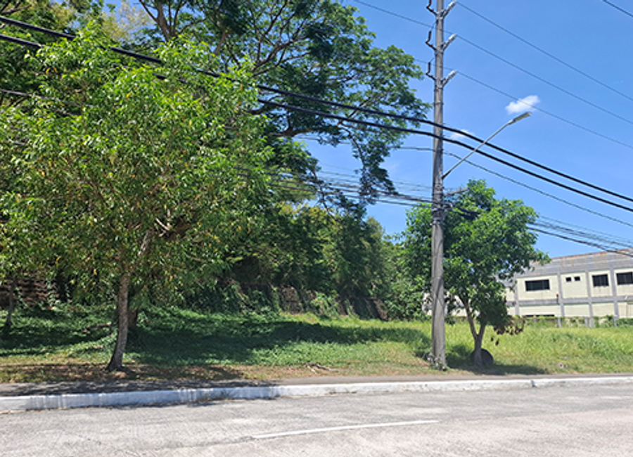 Mountain Drive, Light Industry and Science Park II, Real, Calamba, Laguna image 3