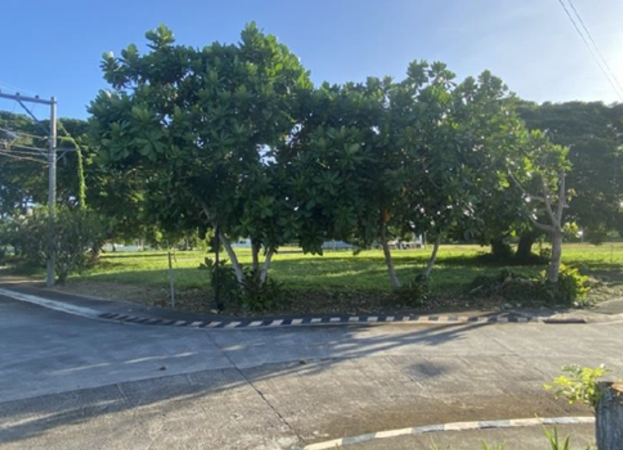 Malabrigo-Laiya Road, Laiya-Aplaya, San Juan, Batangas