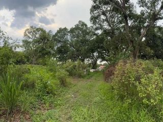 Agricultural Lot 29,713 sqm clean title for Sale in San Fernando Pampanga