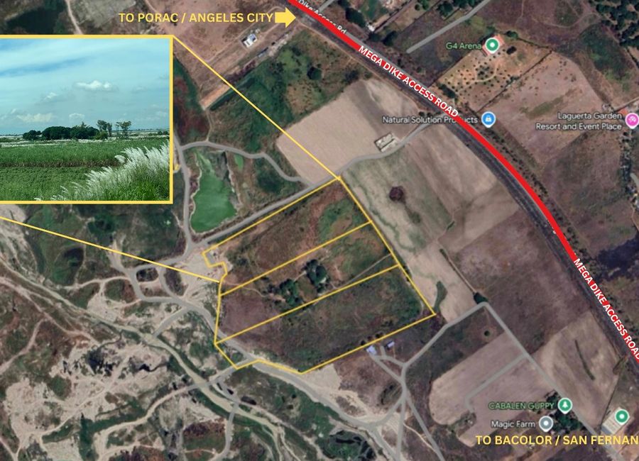 FOR SALE AGRICULTURAL LOT IN BACOLOR PAMPANGA NEAR MEGA DIKE ACCESS ...