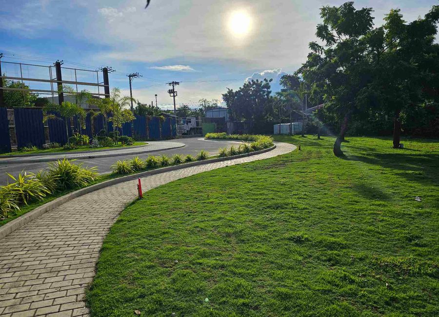 place photo 15