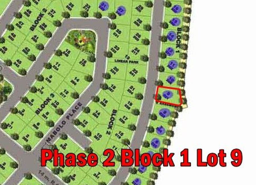 Banyan Drive, Verdana Homes, Biñan, Laguna