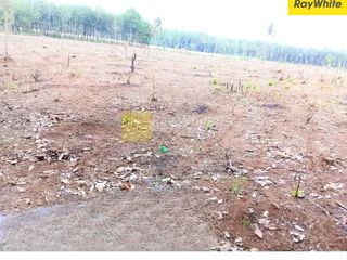 DIjual Tanah DI RUlung Raya, Natar, Lampung Selatan (Kode SUL : 3467)