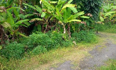 BUC 3 Are Lingkungan Villa dekat Pantai di Saba Gianyar Bali
