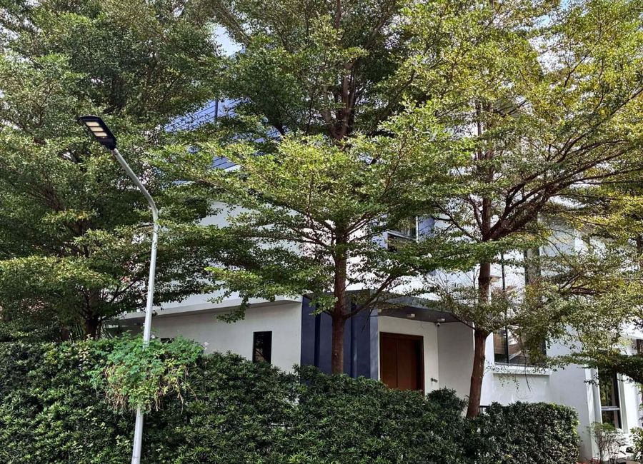 place photo 48