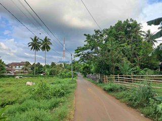 DIJUAL CEPAT TANAH CANTIK DAN MENARIK DAERAH PINELENG, HARGA SANGAT MURAH