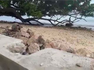 White Sand Beach Lot in Oslob for Sale