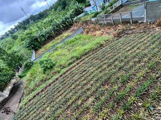 Lot for Sale in Tagaytay City – Prime Location, Clean Title