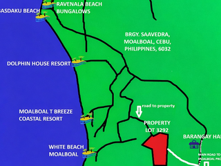 16,025sqm Titled Moalboal Beach Land for Sale