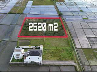 Dijual Tanah View Sawah Gunung Dekat Pantai Di Tabanan Bali