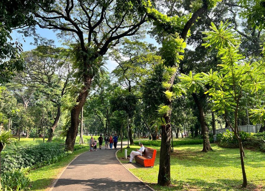 place photo 13