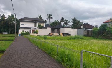 10 Are Lingkungan Villa di Ubud Gianyar Bali