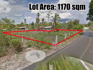 PRIME RESIDENTIAL & COMMERCIAL LOT FOR SALE IN BOHOL