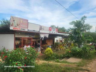8.6 Hectares located in Libaong Panglao, Bohol