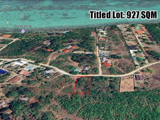 🌴 PRIME BEACH-ACCESS RESIDENTIAL & COMMERCIAL LOT FOR SALE IN DAUIS, BOHOL