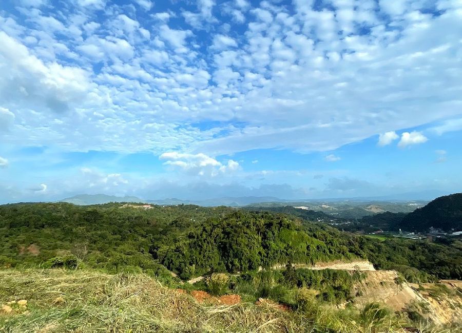 Forest Hills Avenue, Langhaya, Dela Paz, Antipolo, Rizal