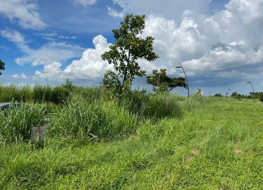 Nuvali Boulevard, Canlubang, Calamba, Laguna image 2