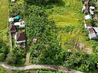 Dijual Tanah Kebun  View  Sawah Gunung Laut Dan Indahnya view Kota Di Tabanan Bali
