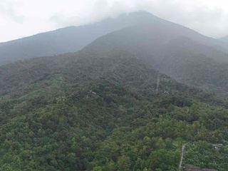 Dijual Tanah Kebun View Lembah Junggle Gunung Batukaru Tabanan Bali