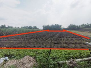 Dijual Lelang Tanah Mojodowo Kemlagi Mojokerto Dekat Puskesmas