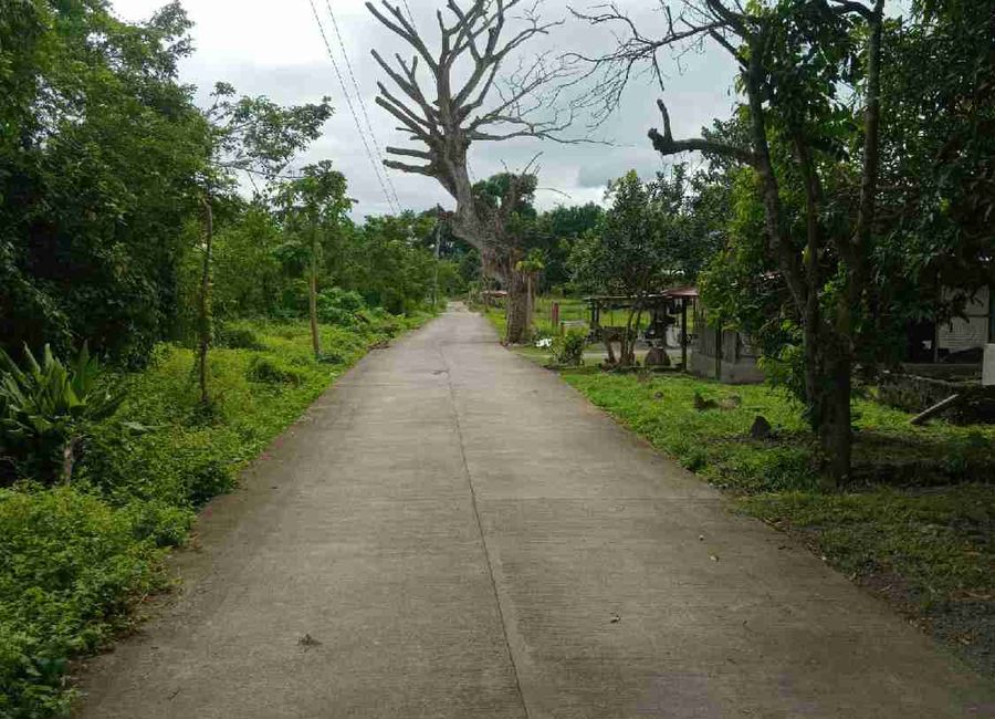 Palahanan I, Palahanan II, Janaojanao, San Juan, Batangas