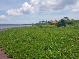 dijual tanah 1975 m² IDR 650 juta per are los pantai pabean Gianyar  Bali