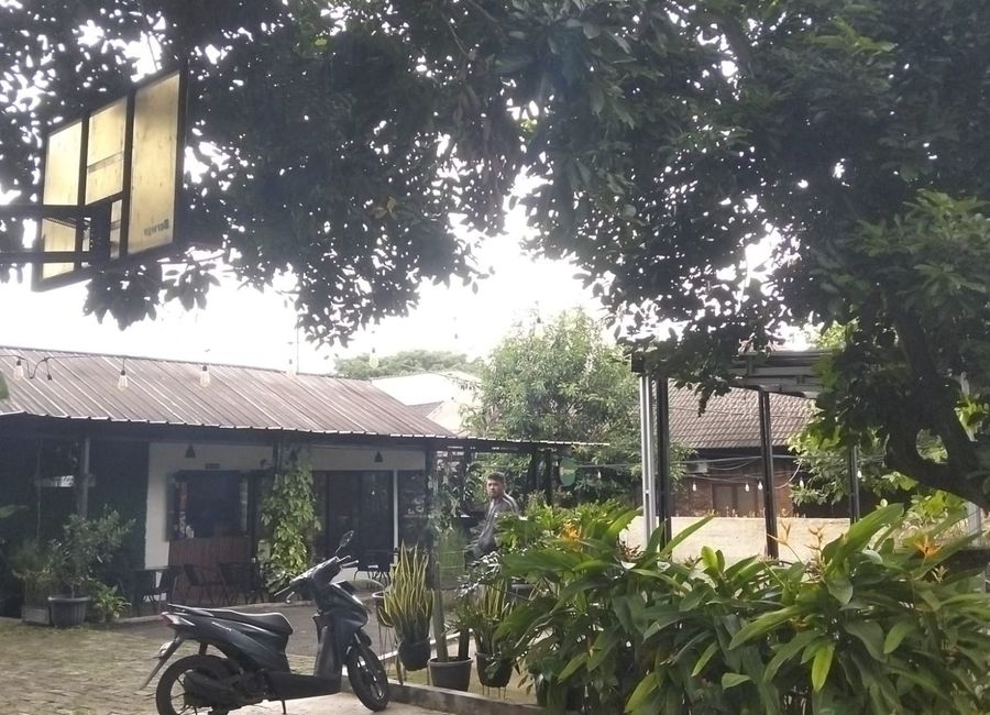 place photo 17