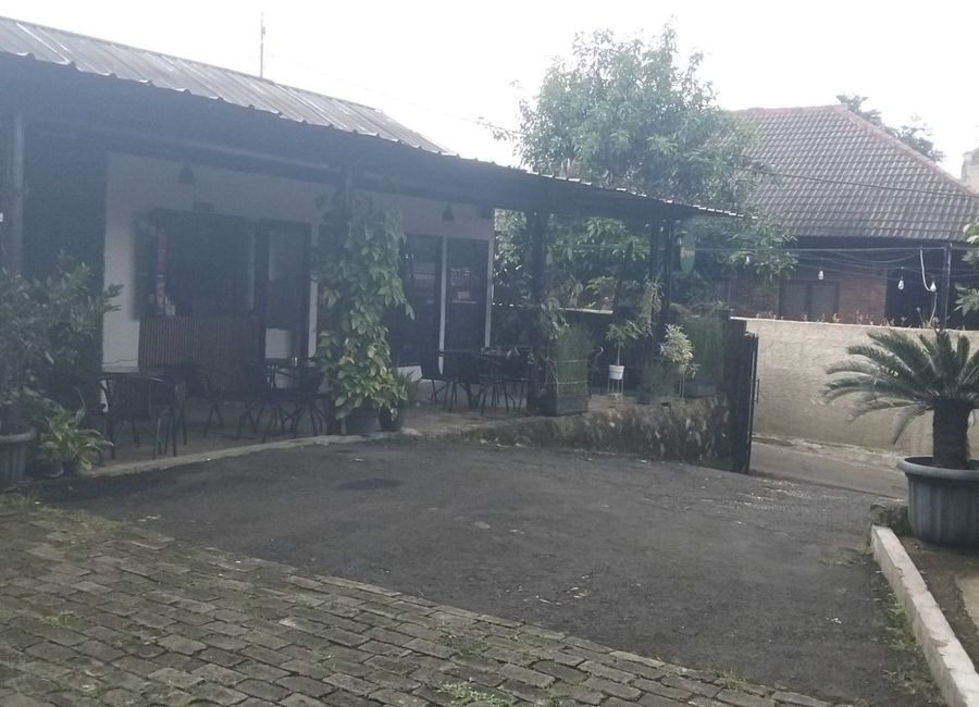place photo 29