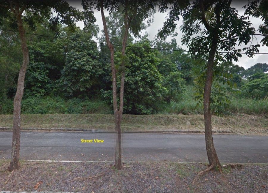Forest Hills Avenue, Lower Tulakin, Bagong Nayon, Antipolo, Rizal image 3