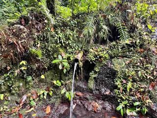 jual tanah penatahan penebel ada sumber mata air