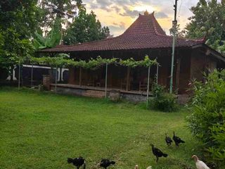 VILLA JOGLO LUAS TANAH 18 ARE DI TEGAL BADENG TIMUR JEMBRANA