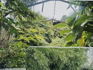 LELANG Tanah siap bangun SHM 329m2 di Jl.Soekarno-Hatta,Ciseureuh, Bandung