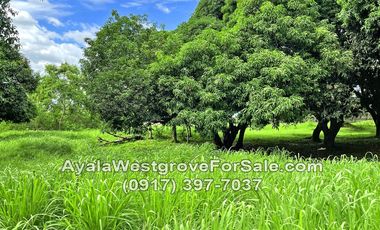 Ayala Westgrove Heights Silang Cavite 1015 sqm Lot for Sale