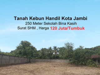Jual Tanah Kebun Handil Kota Jambi