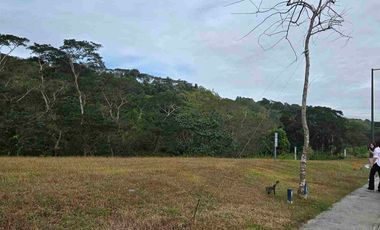 Venido Broadfield Lot Below market value