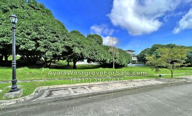 Ayala Westgrove Heights Silang Cavite 523 sqm Lot for Sale