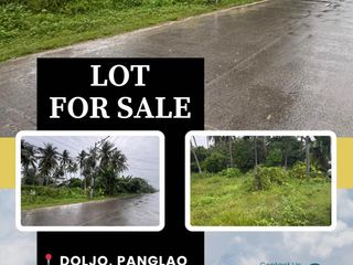 LOT FOR SALE at Doljo, Panglao